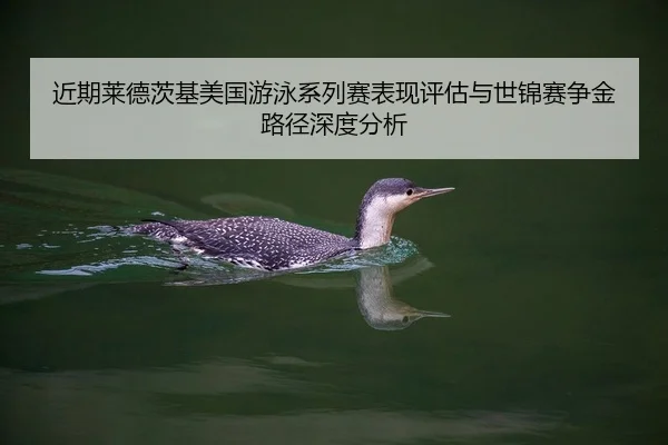 近期莱德茨基美国游泳系列赛表现评估与世锦赛争金路径深度分析